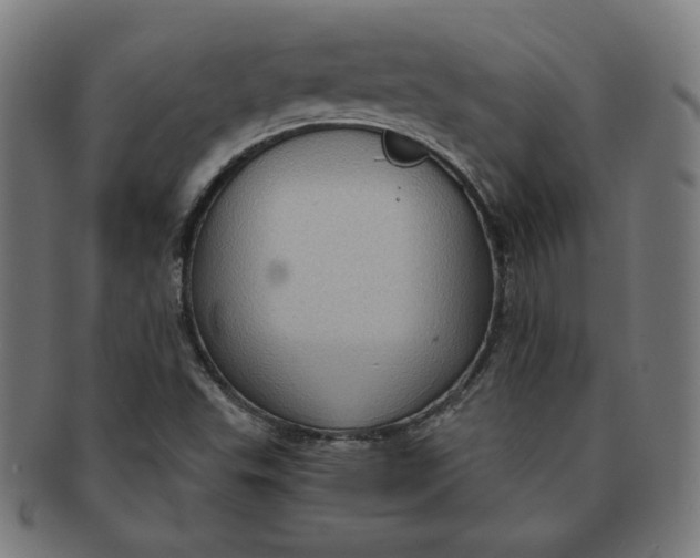X0000090981503200708241351