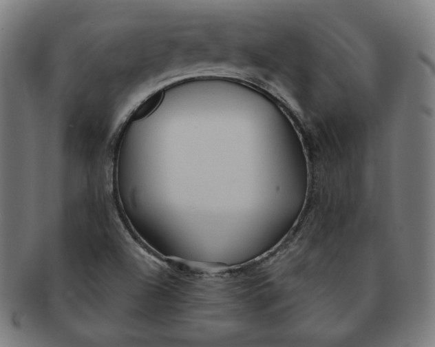 X0000090981504200708241351