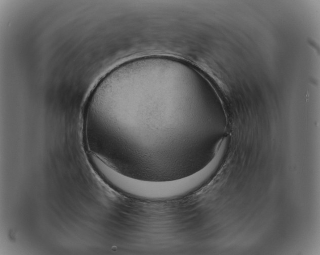 X0000090981508200708241351