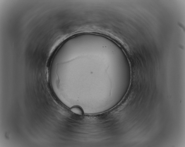 X0000090981509200708241351