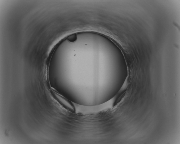 X0000090981510200708241351