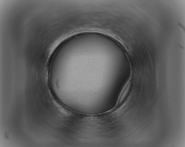 X0000090981511200708241351