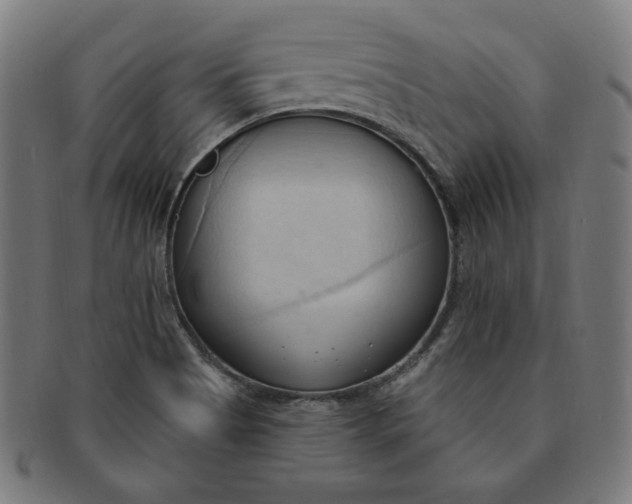 X0000090981513200708241351
