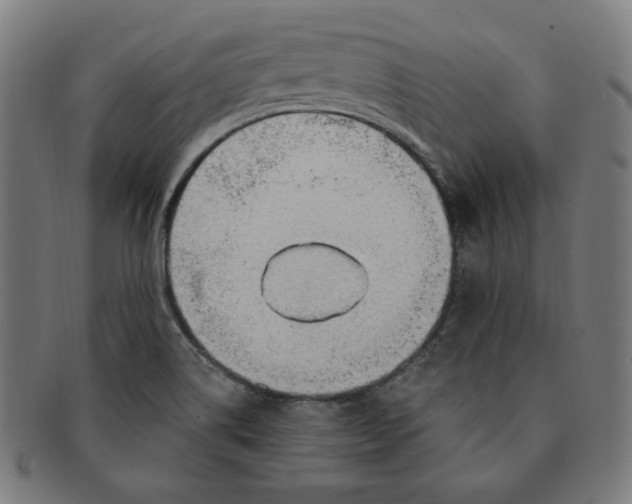 X0000090981514200708241351