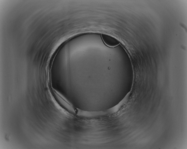 X0000090981515200708241351