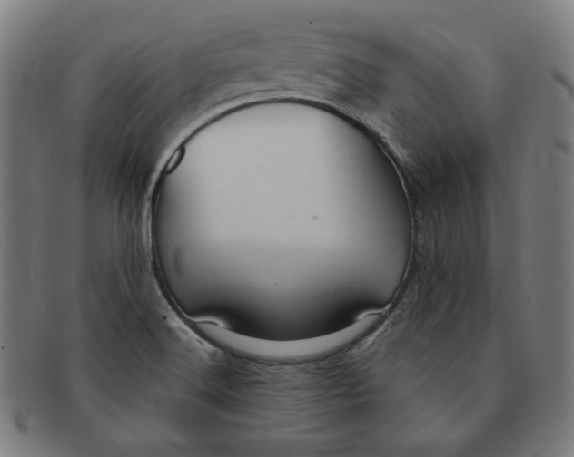 X0000090981516200708241351