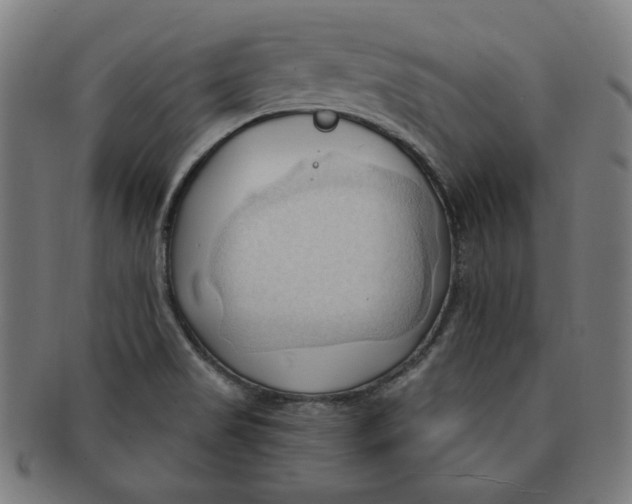 X0000090981517200708241351