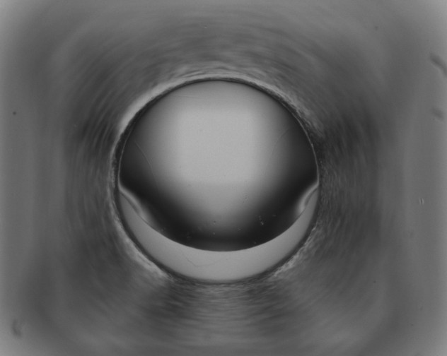 X0000090981518200708241351