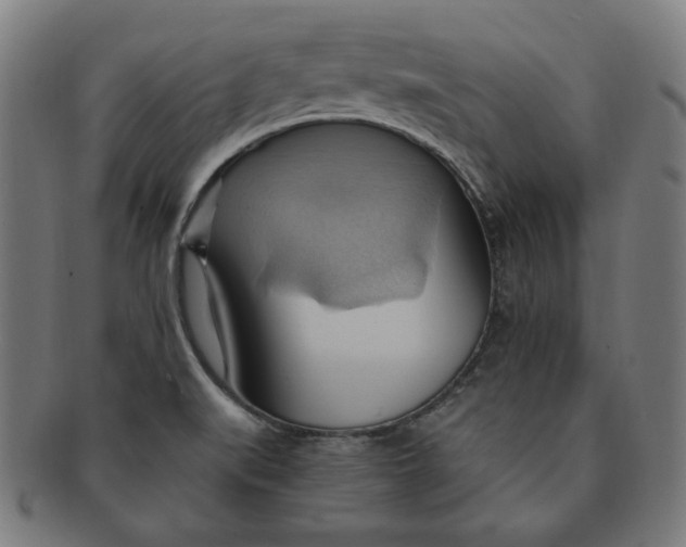 X0000090981519200708241351