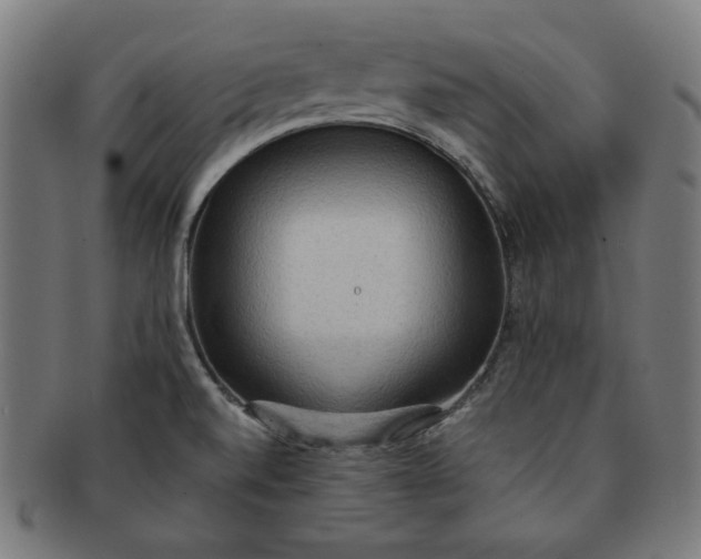 X0000090981520200708241351