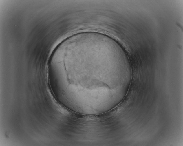 X0000090981522200708241351