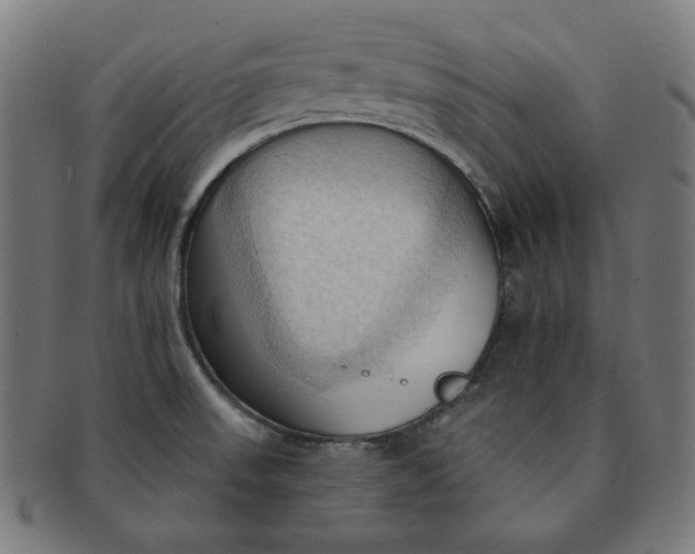 X0000090981523200708241351