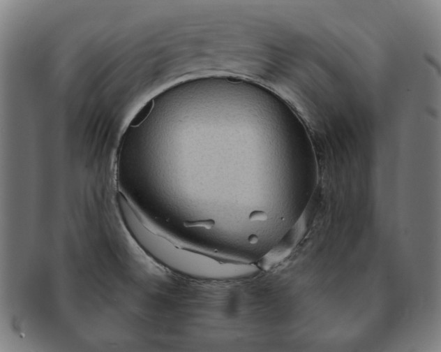 X0000090981524200708241351
