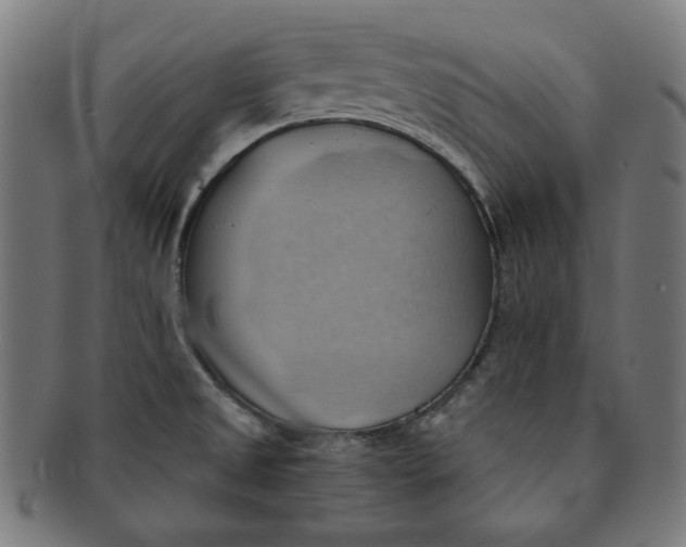 X0000090981525200708241351