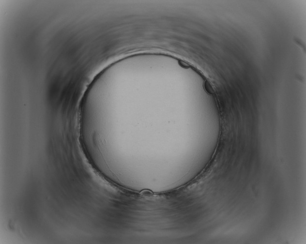 X0000090981526200708241351