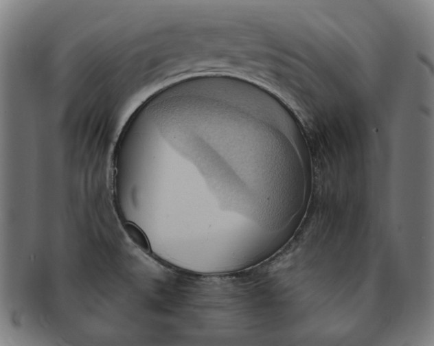 X0000090981527200708241351