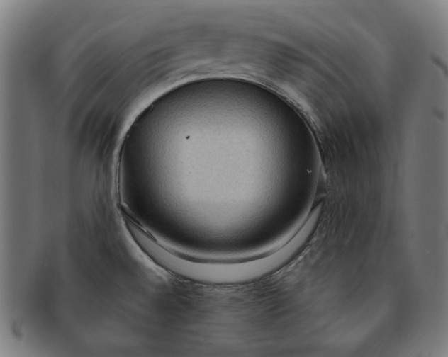 X0000090981528200708241351