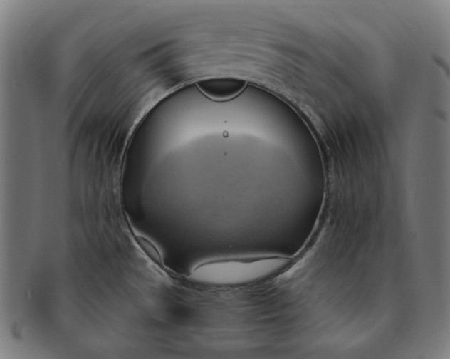 X0000090981529200708241351