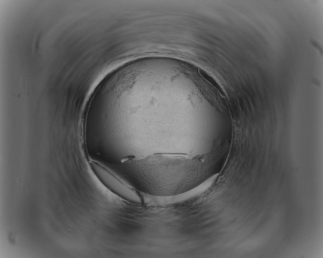 X0000090981531200708241352