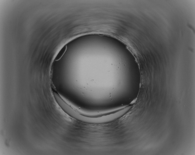 X0000090981532200708241352