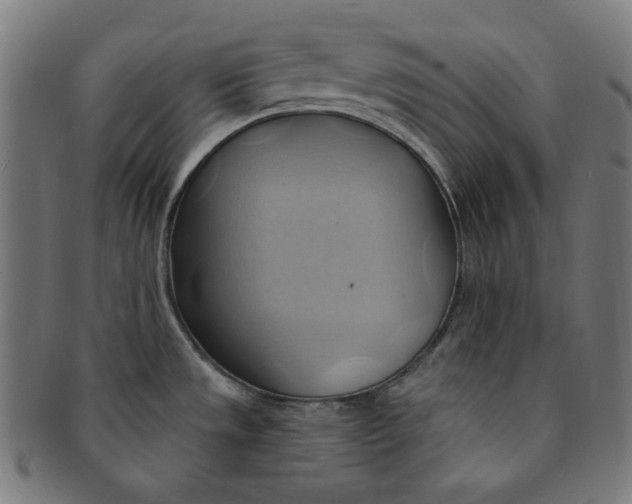 X0000090981533200708241352