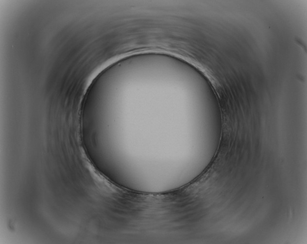 X0000090981534200708241352