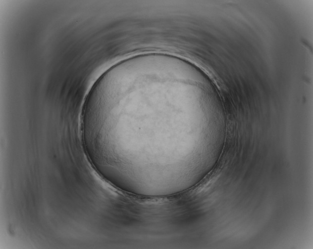 X0000090981535200708241352