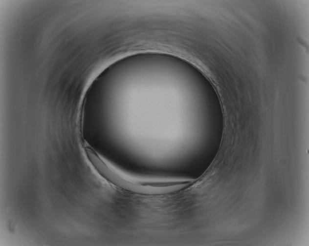 X0000090981536200708241352