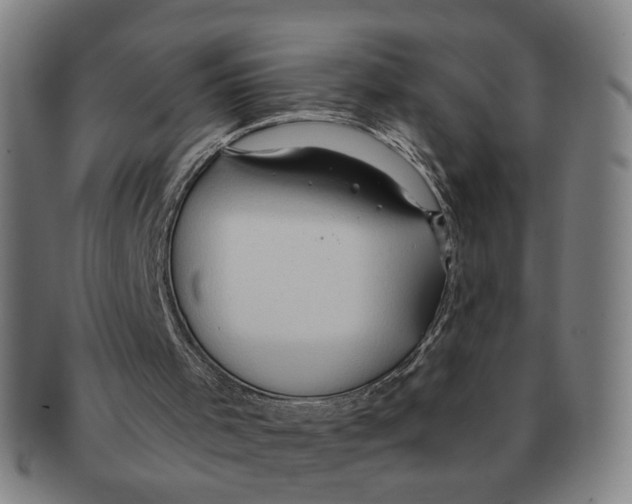 X0000090980001200708301300