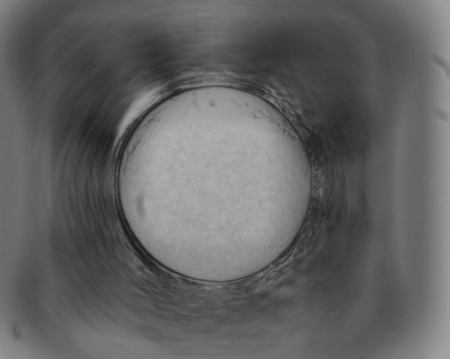X0000090980004200708301300
