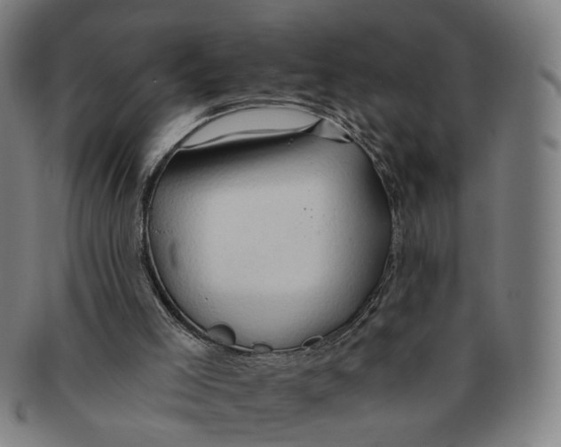 X0000090980005200708301300