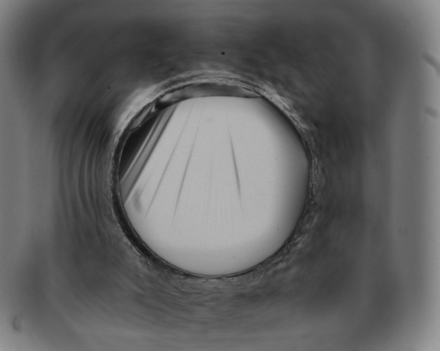 X0000090980007200708301300