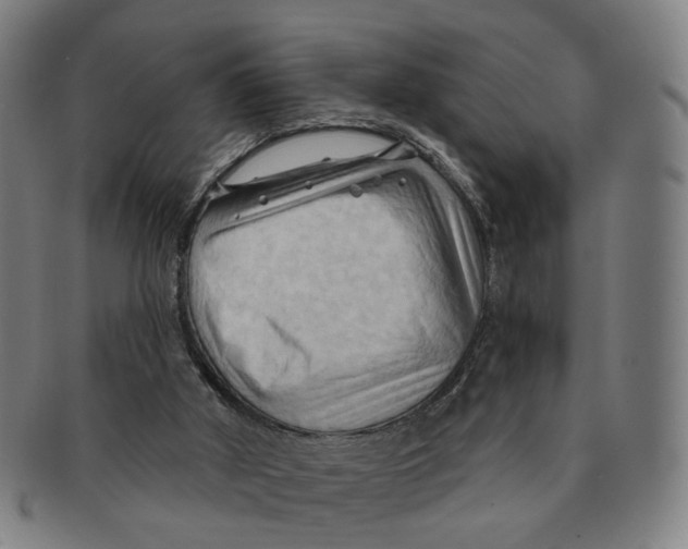 X0000090980010200708301300