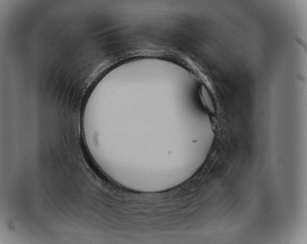 X0000090980011200708301300