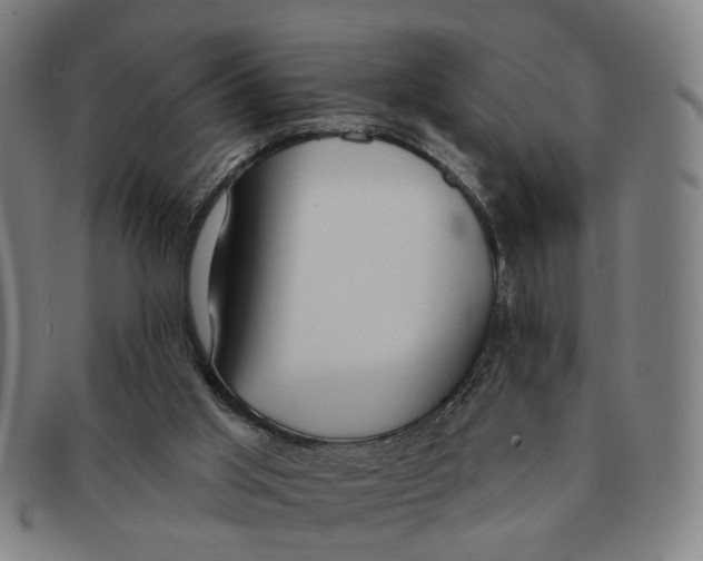 X0000090980013200708301300