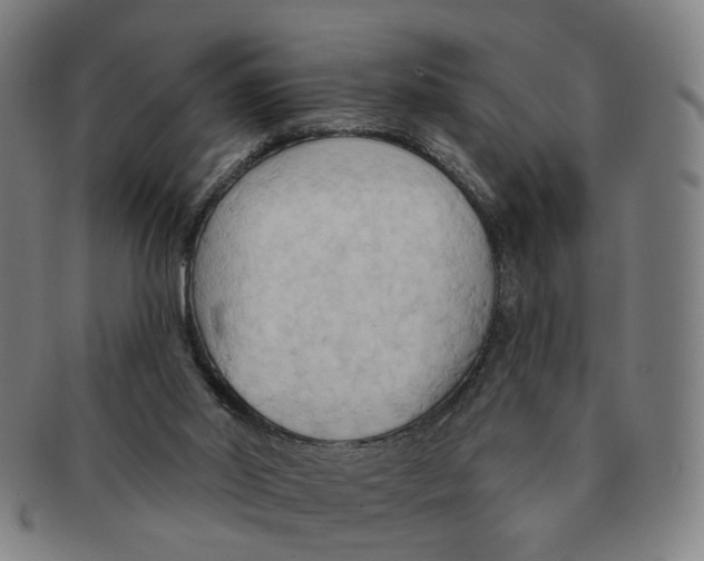 X0000090980014200708301300