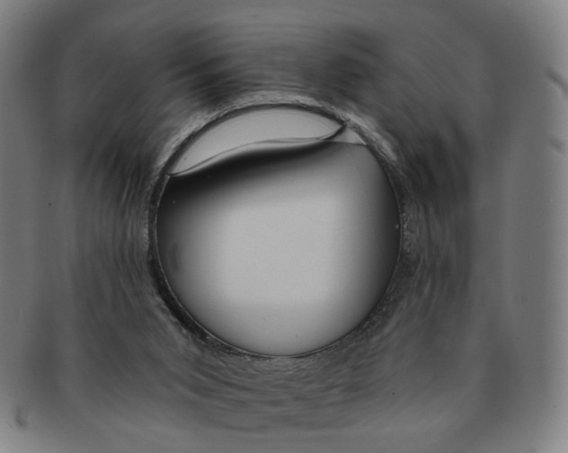 X0000090980015200708301300
