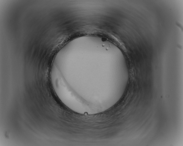X0000090980018200708301300