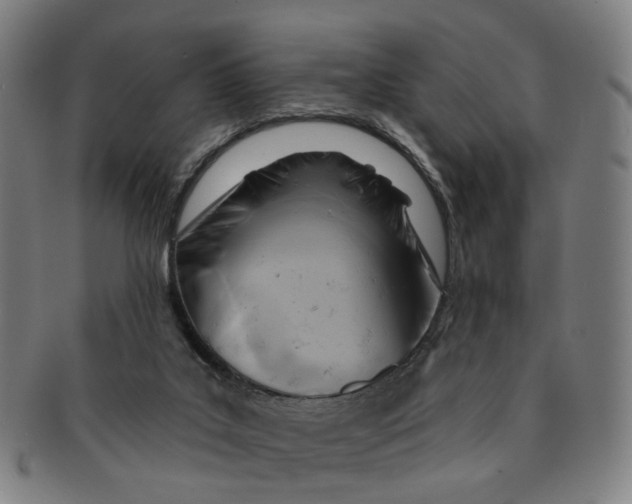 X0000090980019200708301300