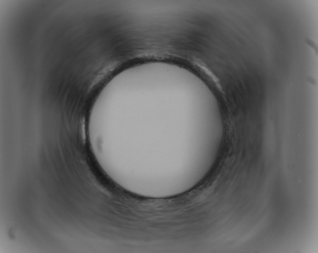 X0000090980020200708301300
