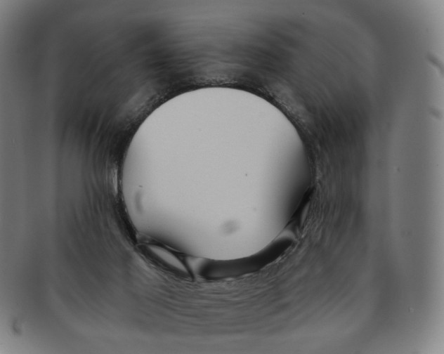 X0000090980021200708301300