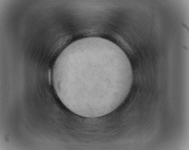 X0000090980022200708301300