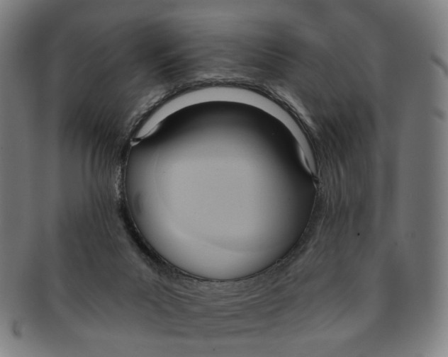 X0000090980023200708301300