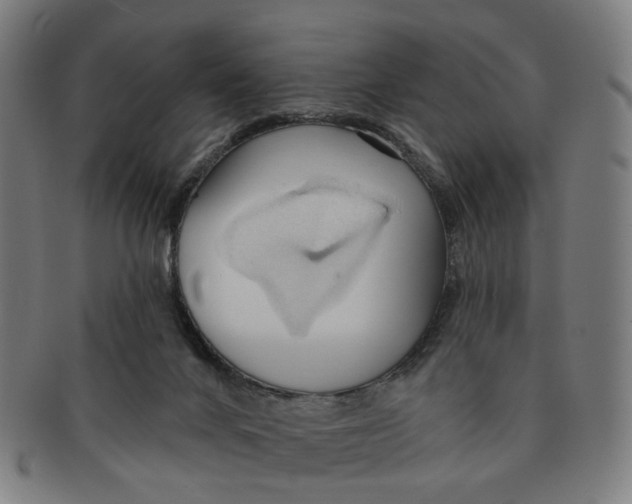 X0000090980024200708301300
