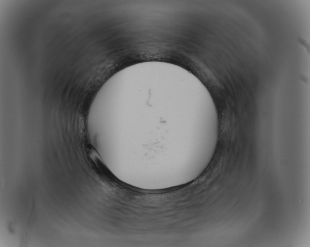X0000090980025200708301300
