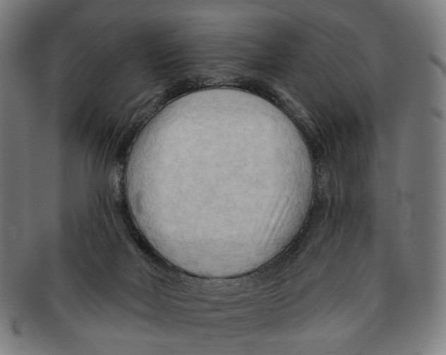X0000090980026200708301300