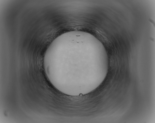 X0000090980030200708301300