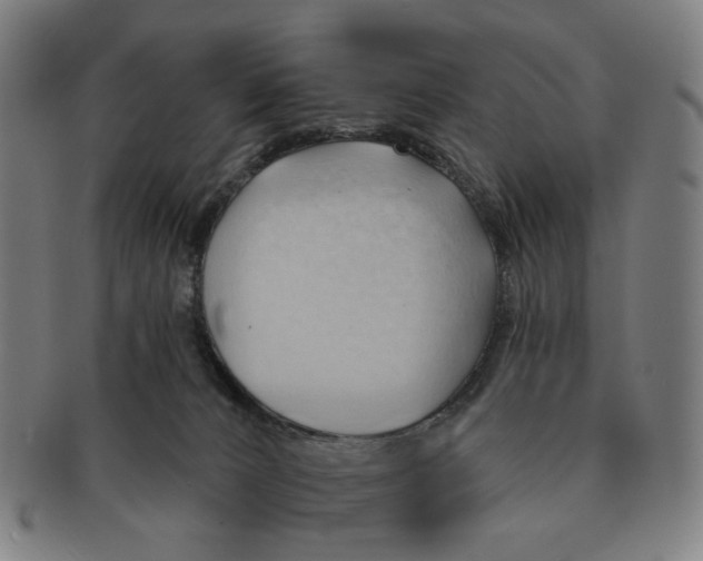 X0000090980032200708301300