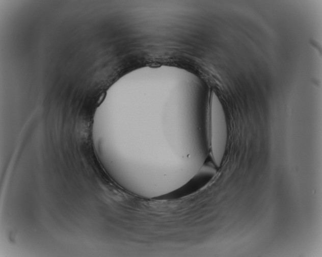 X0000090980033200708301300