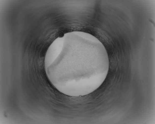 X0000090980034200708301300